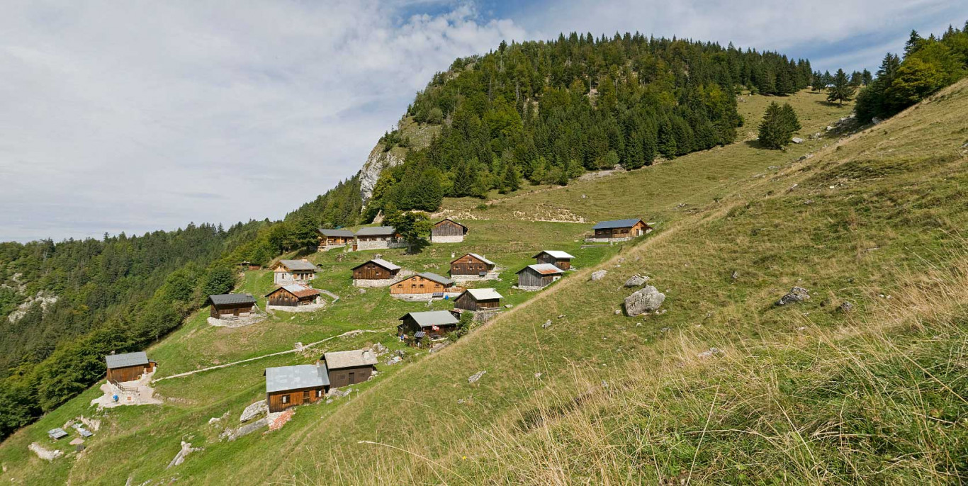 Tréchauffé Alpine Pasture Virtual Visit